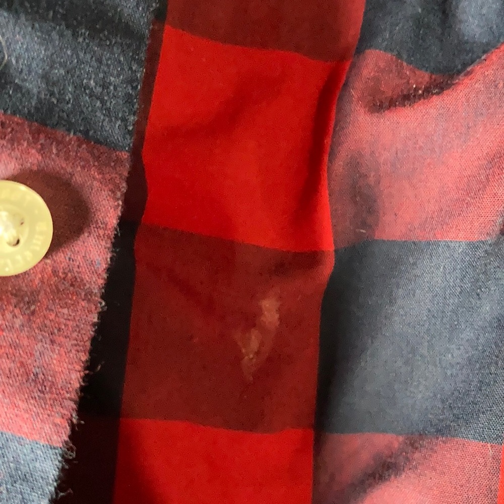 Flannel - Picture 4 of 7